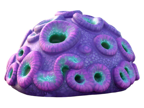 Rafa koralowa 11 Model 3D