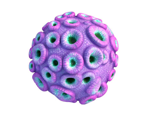 Coral reef 11 3D Model