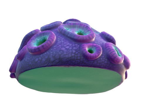 Coral reef 11 3D Model