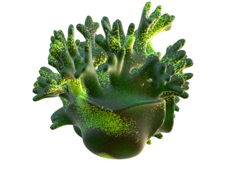 珊瑚礁 12 3D 模型