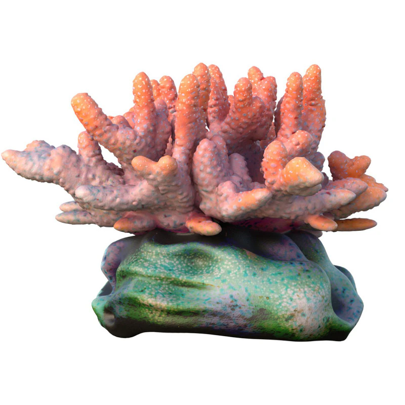 Coral reef 13 3D Model .c4d .max .obj .3ds .fbx .stl .blend
