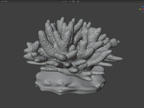 Coral reef 13 3D Model