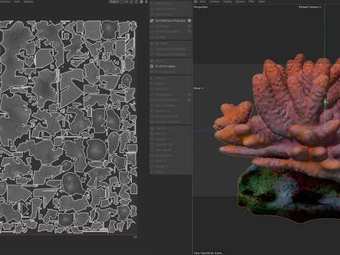 Coral reef 13 3D Model