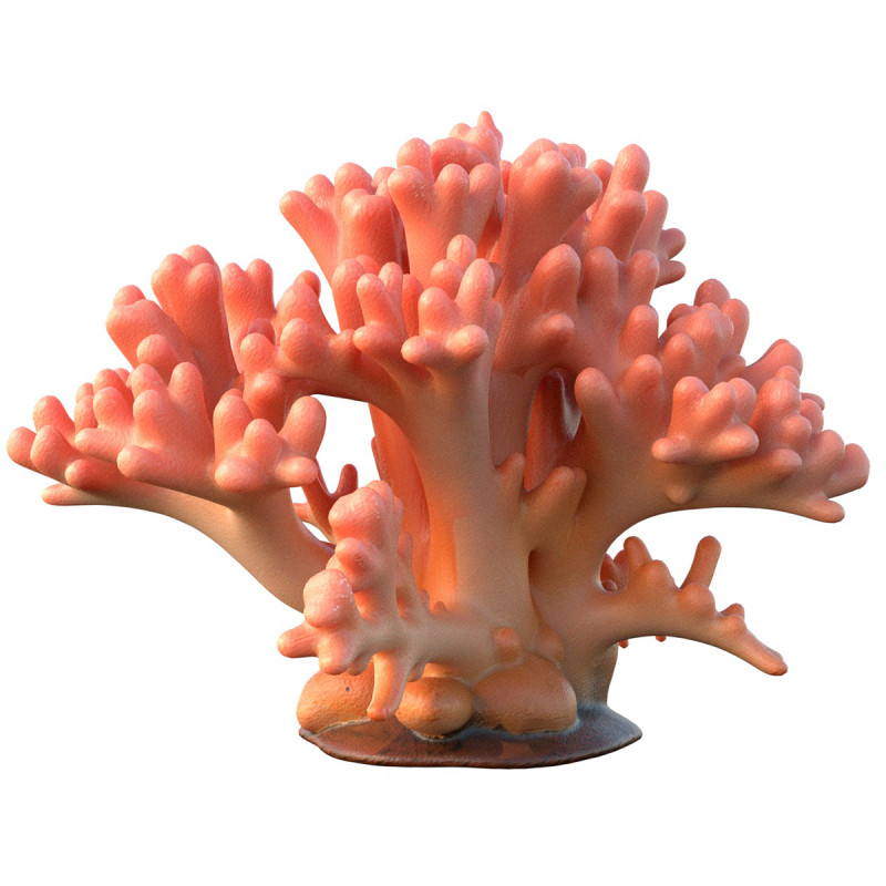 Coral reef 14 3D Model .c4d .max .obj .3ds .fbx .stl .blend