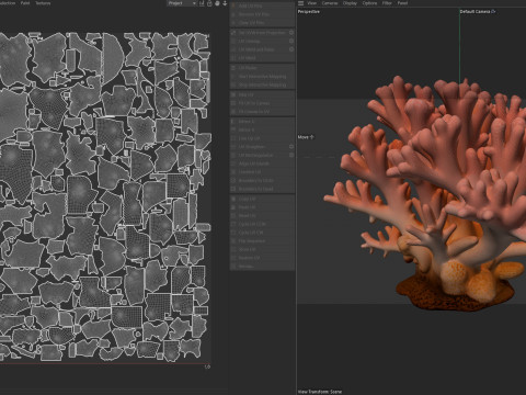 Coral reef 14 3D Model