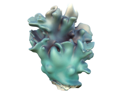 Terumbu karang 15 Model 3D