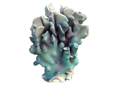 Terumbu karang 15 Model 3D