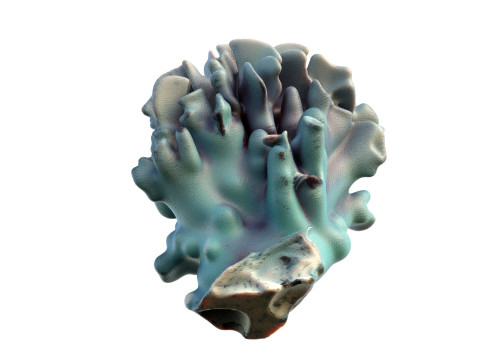 Terumbu karang 15 Model 3D