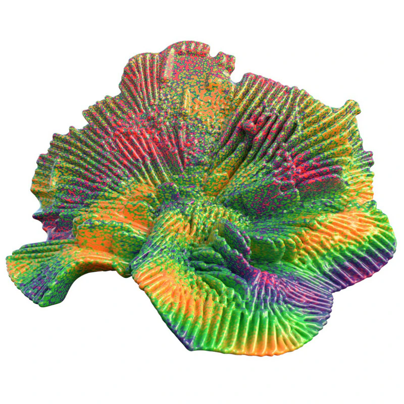 Coral reef 16 3D Model .c4d .max .obj .3ds .fbx .stl .blend 