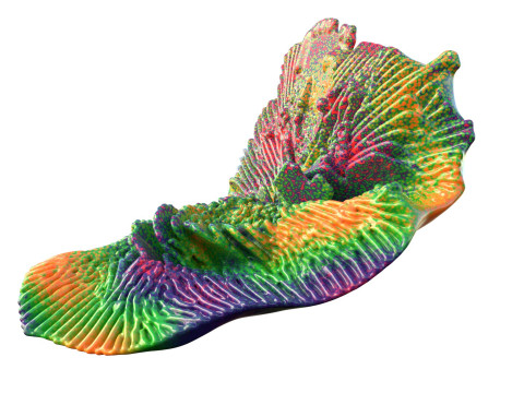 Recife de coral 16 Modelo 3D