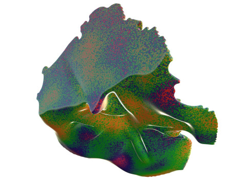 Recife de coral 16 Modelo 3D