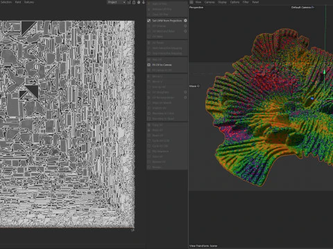 Coral reef 16 3D Model