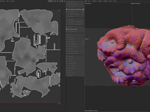 Coral reef 17 3D Model