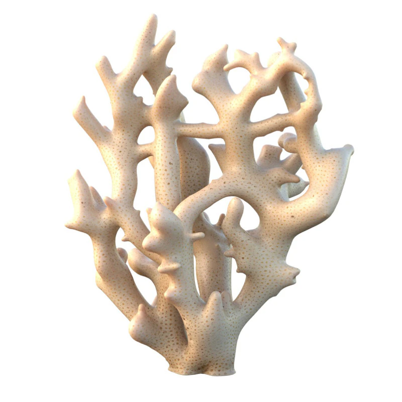 Coral reef 19 3D Model .c4d .max .obj .3ds .fbx .stl .blend 