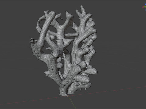 珊瑚礁 19 3D 模型