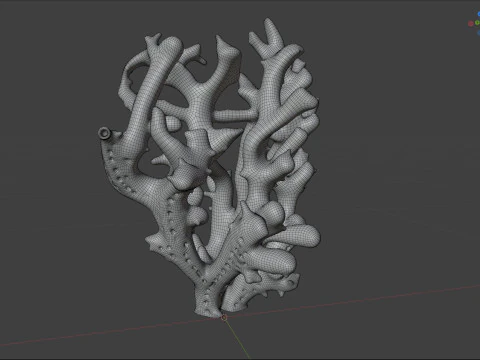 Coral reef 19 3D Model