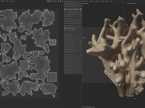 Coral reef 19 3D Model