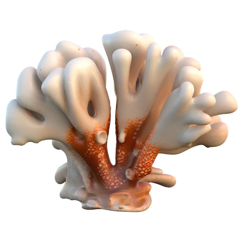 Coral reef 20 3D Model .c4d .max .obj .3ds .fbx .stl .blend 