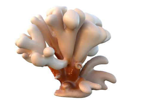 サンゴ礁 20 3Dモデル