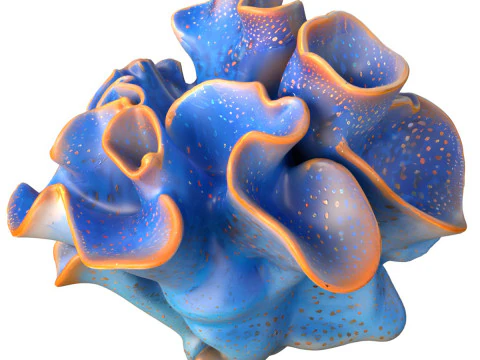 Terumbu karang 20 Model 3D