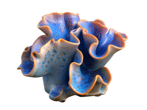 サンゴ礁 20 3Dモデル