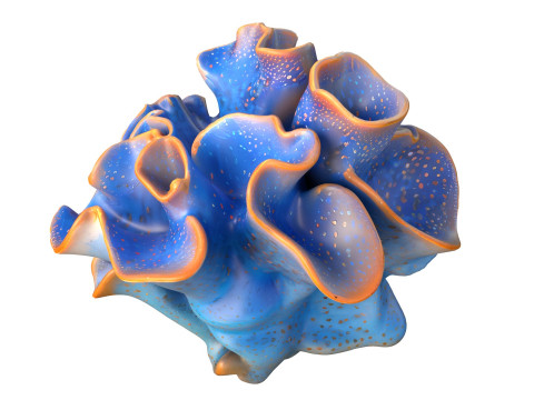 サンゴ礁 20 3Dモデル
