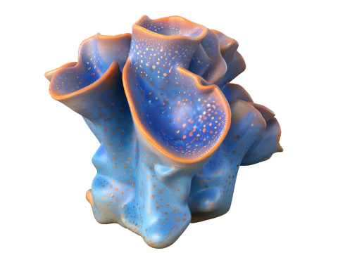 Coral reef 20 3D Model