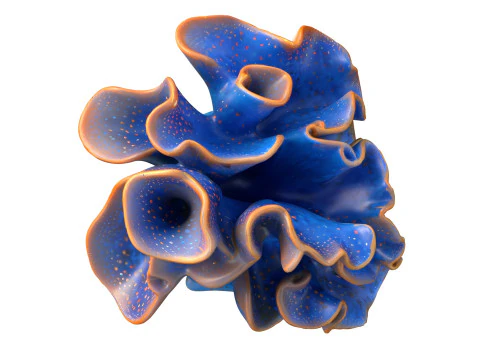 Coral reef 20 3D Model