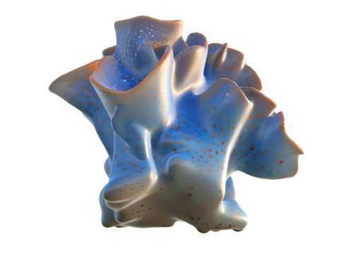 サンゴ礁 20 3Dモデル