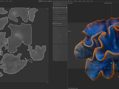 Coral reef 20 3D Model