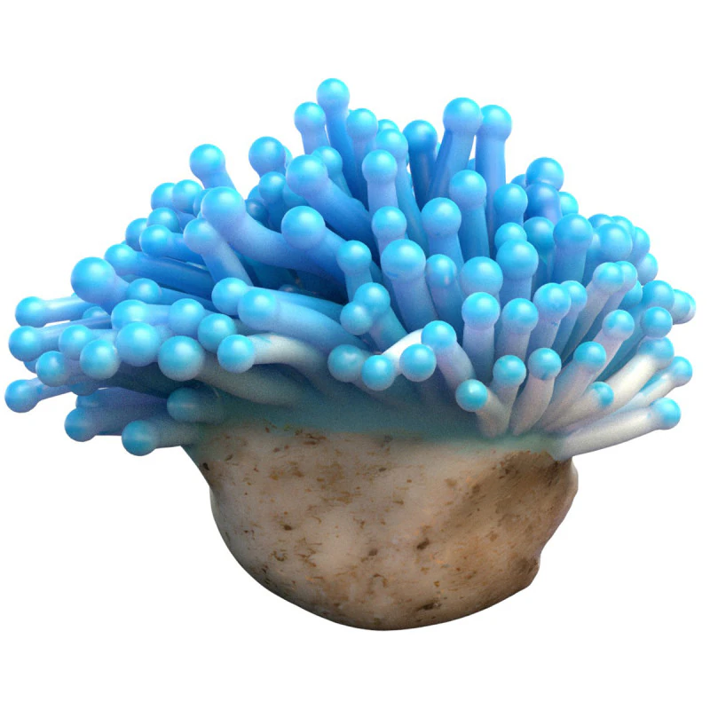 Coral reef 22 3D Model .c4d .max .obj .3ds .fbx .stl .blend