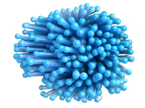 Coral reef 22 3D Model