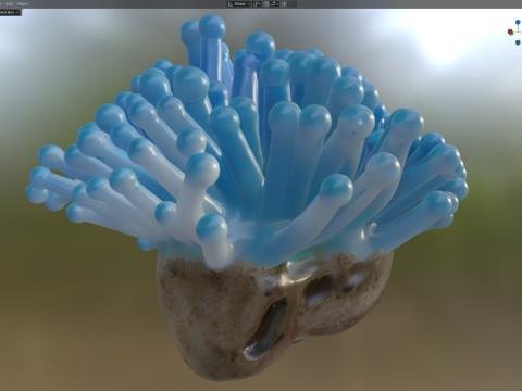 Terumbu karang 22 Model 3D