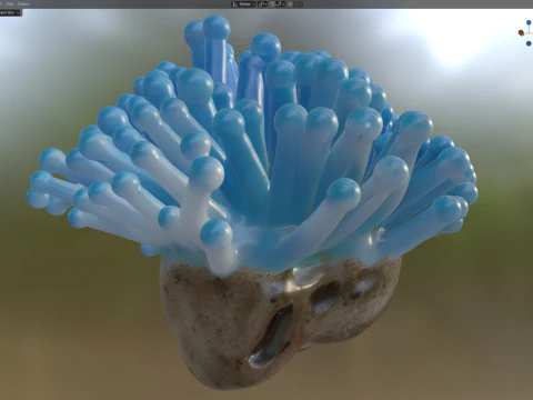 Coral reef 22 3D Model