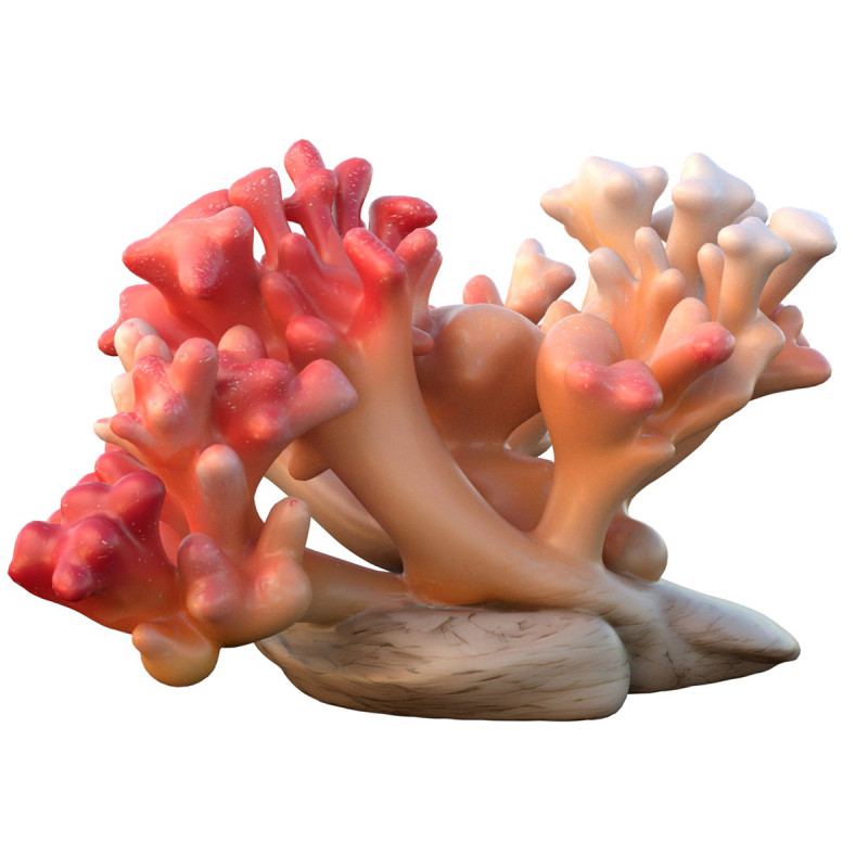 Coral reef 23 3D Model .c4d .max .obj .3ds .fbx .stl .blend