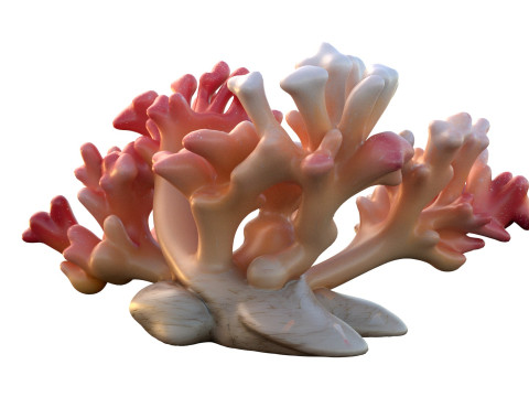 Coral reef 23 3D Model
