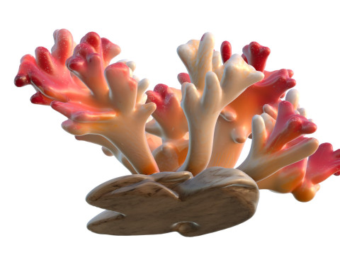 Coral reef 23 3D Model