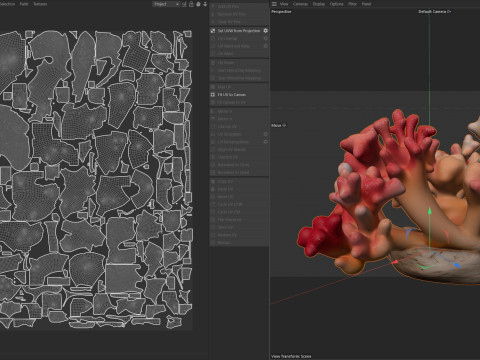 Coral reef 23 3D Model