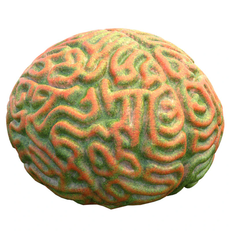 Coral reef 25 3D Model .c4d .max .obj .3ds .fbx .stl .blend 