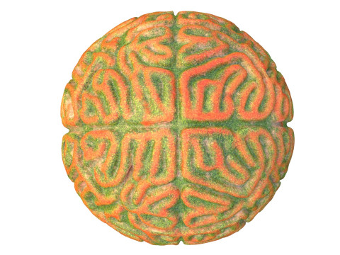 Coral reef 25 3D Model