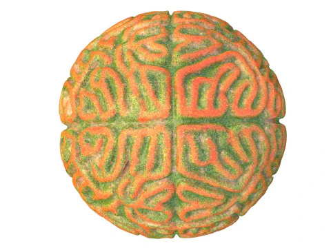 Coral reef 25 3D Model