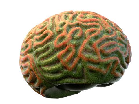 Coral reef 25 3D Model