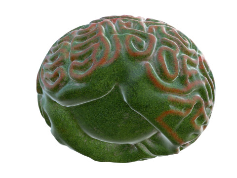 Coral reef 25 3D Model