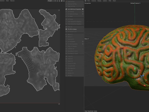 Coral reef 25 3D Model