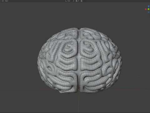 Coral reef 25 3D Model