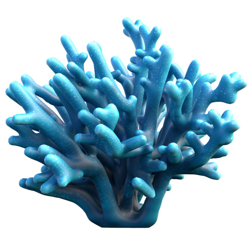 サンゴ礁 26 3Dモデル .c4d .max .obj .3ds .fbx .stl .blend