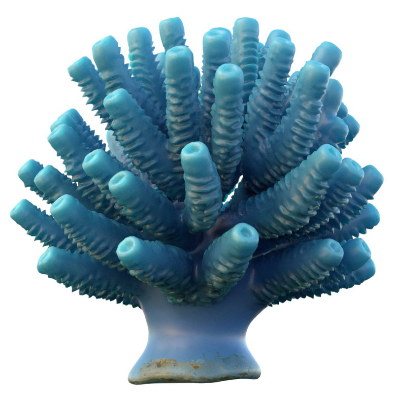 Кораловий риф 28 3D Модель .c4d .max .obj .3ds .fbx .stl .blend 