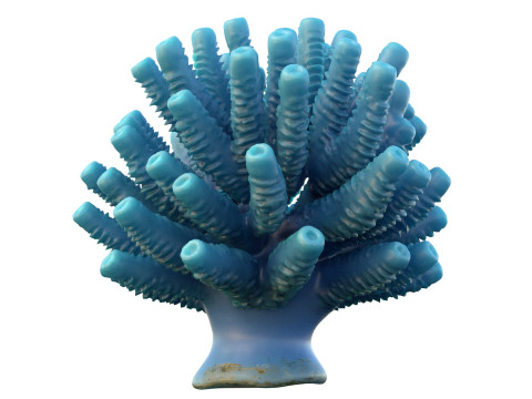 Кораловий риф 28 3D Модель