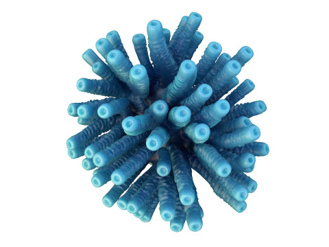 Кораловий риф 28 3D Модель