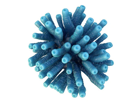 Coral reef 28 3D Model
